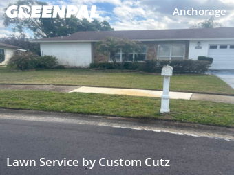 Lawn Mow nearby Palm Harbor, FL, 
