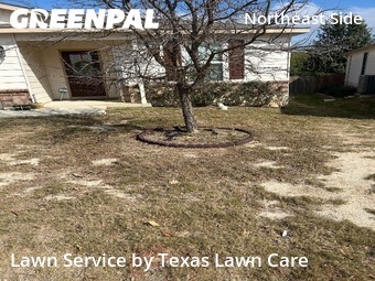 Lawn mowed in Selma, 78154