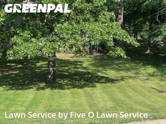 Lawn Mow nearby Jonesboro, AR, 