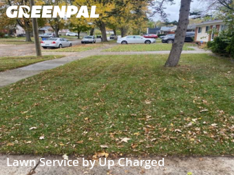 Grass Services in Inkster, 48141, Yard Management by Up Charged , work completed in Nov , 2025