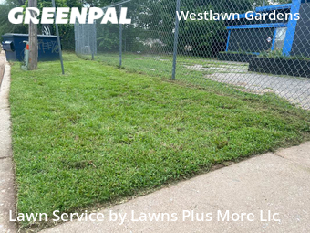 Lawn Mow nearby Oklahoma City, OK, 