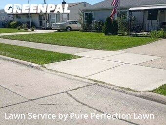 Grass Care in Wyandotte, 48192, Lawn Upkeep by Pure Perfection Lawn, work completed in Nov , 2025