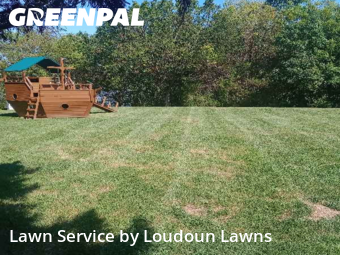 Yard Care in Ashburn, 20147, Turf Services by Loudoun Lawns, work completed in Nov , 2025