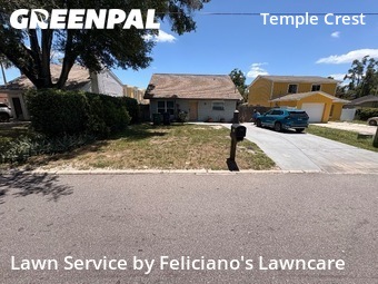 Grass Cut nearby Tampa, FL, 