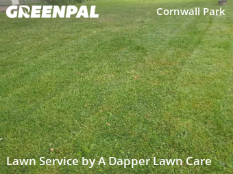 Lawn Mow nearby Bellingham, WA, 