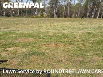 Lawn mowed in Spartanburg, 29303