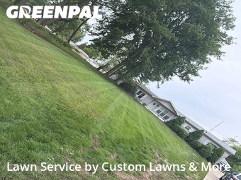 Lawn mowed in Wayne, 48184