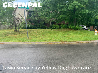 Lawn Cut nearby Nashville, TN, 