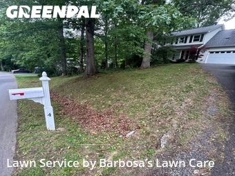 Lawn Mow nearby Asheville, NC, 