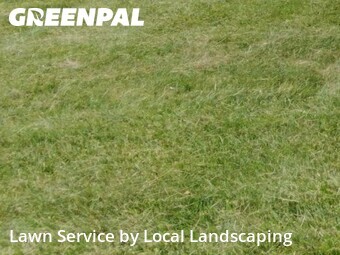 Yard Mowing nearby Marion, OH, 