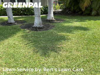 Grass Cutting nearby Delray Beach, FL, 
