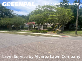 Yard Cutting nearby Orlando, FL, 