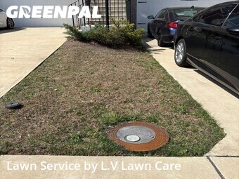 Grass Cut nearby Woodbridge, VA, 