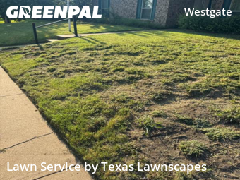 Lawn Carein Plano,75023,Yard Mowing by Texas Lawnscapes, work completed in Oct , 2025