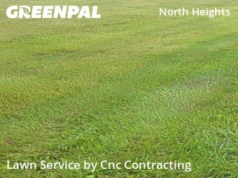 Yard Cutting nearby Youngstown, OH, 