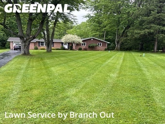 Lawn Mowing nearby Elma Center, NY, 