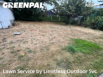 Yard Work in Seattle, 98107, Garden Trimming by Limitless Outdoor Svc, work completed in Nov , 2025