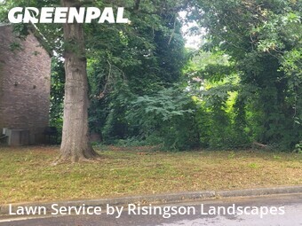 Lawn Service nearby Atlanta, GA, 