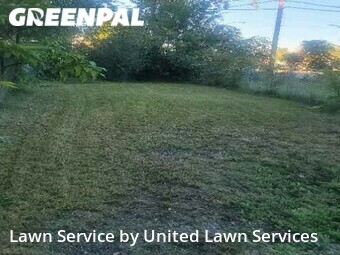 Yard Cutting nearby Chicago, IL, 