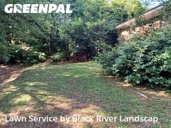 Grass Cut nearby Cayce, SC, 