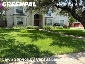Lawn Mow nearby San Antonio, TX, 