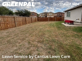 Lawn Cut nearby Converse, TX, 