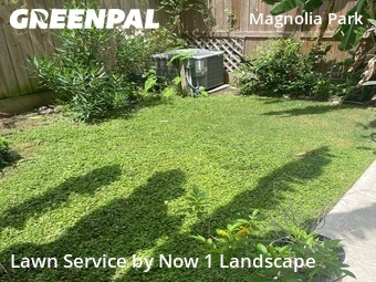 Yard Cutting nearby Houston, TX, 