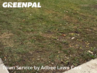 Yard Upkeep in Champaign, 61821, Yard Care Services by Adbee Lawn Care, work completed in Dec , 2025