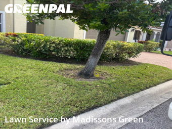 Yard Grooming in Riviera Beach, 33407, Yard Maintenance by Madissons Green, work completed in Nov , 2025