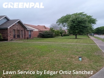 Yard Cutting nearby Wylie, TX, 