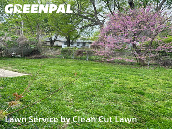 Grass Cut nearby Blue Springs, MO, 
