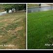 affordable-lawn-services-in-Castle Rock-CO