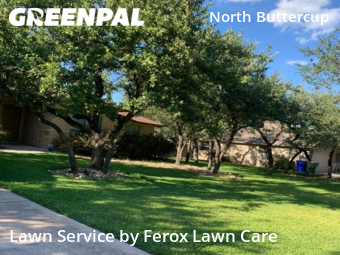 Lawn Cut nearby Cedar Park, TX, 