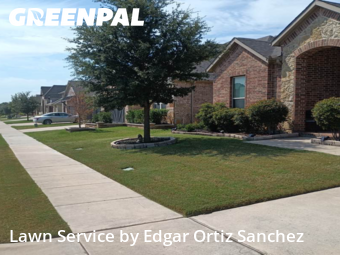 Lawn Servicein Wylie,75098,Grass Cutting by Edgar Ortiz Sanchez, work completed in Nov , 2025