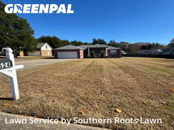 Yard Work in Mount Juliet, 37122, Yard Upkeep by Southern Roots Lawn, work completed in Nov , 2025