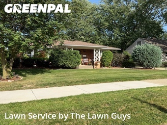 Landscaping Cleanup In Warren,48089,Landscaping by The Lawn Guys, work completed in Jul , 2026
