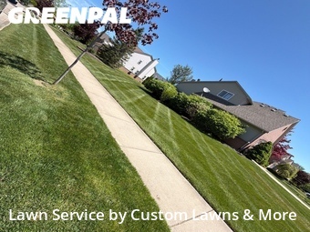 Lawn mowed in South Lyon, 48178