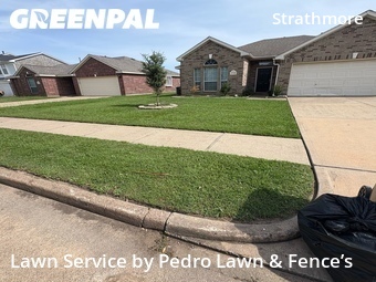 Lawn Care Service nearby Katy, TX, 