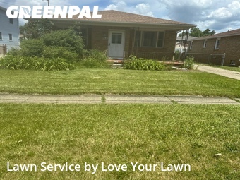 Lawn Mow nearby Cheektowaga, NY, 