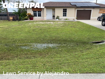 Lawn Mowing Service nearby Fort Myers, FL, 