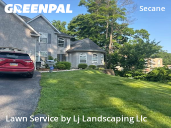 Yard Care in Upper Darby, 19018, Yard Grooming by Lj Landscaping Llc, work completed in Oct , 2025