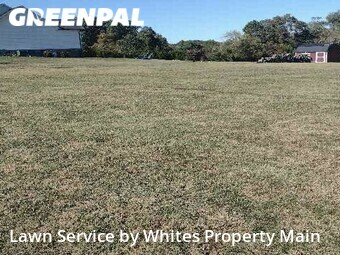 Lawn Service nearby Greenback, TN, 
