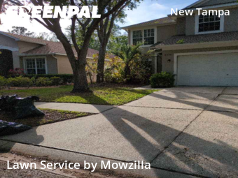 Grass Cut nearby Tampa, FL, 