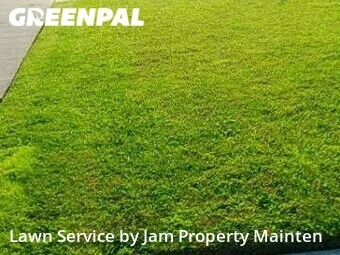 Lawn Cut nearby Southgate, MI, 