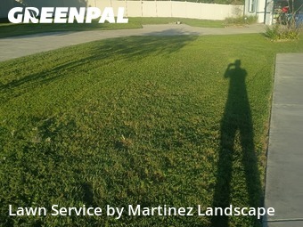 Lawn Mow nearby Tavares, FL, 
