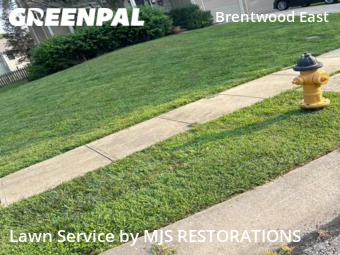 Lawn Cutting nearby Lenexa, MO, 