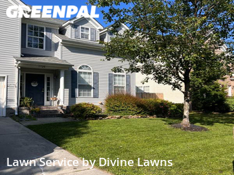 Yard Cutting nearby Virginia Beach, VA, 