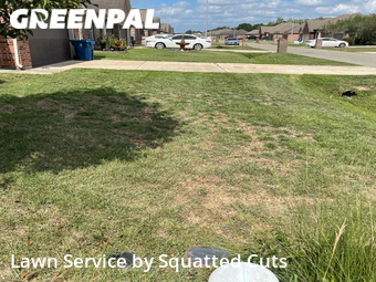 Yard Mowing nearby Carencro, LA, 