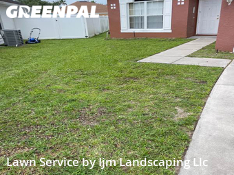 Grass Cut nearby Kissimmee, FL, 