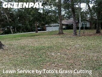 Yard Cutting nearby Wekiwa Springs, FL, 